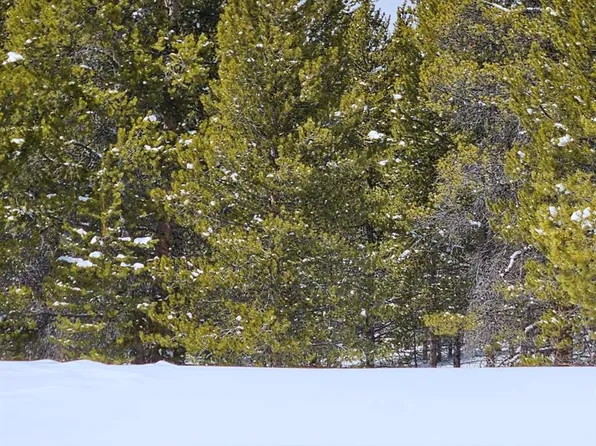 5229 Iron Hat, Leadville, CO 80461