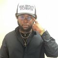 Real Estate Sylvester