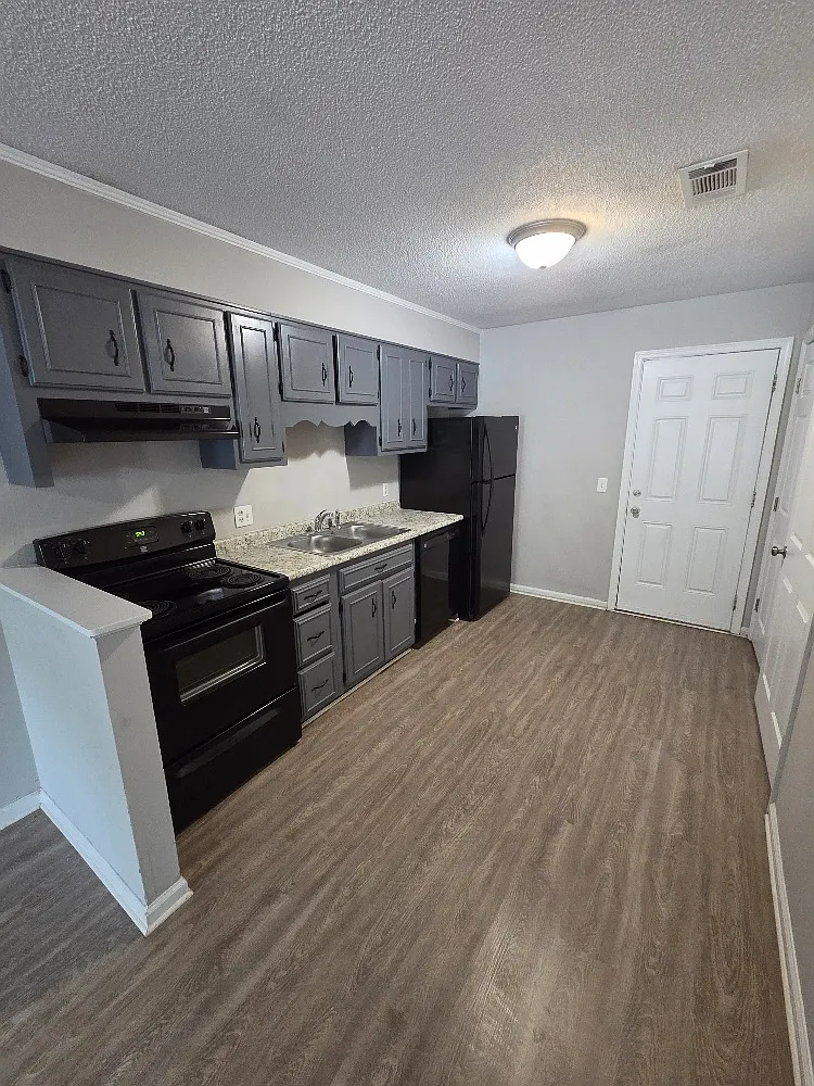 3 bed, 1540 sqft, $1,250 — Photo 3