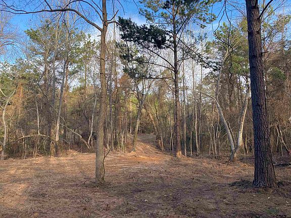 4th image of TRACT 4 County Road 452