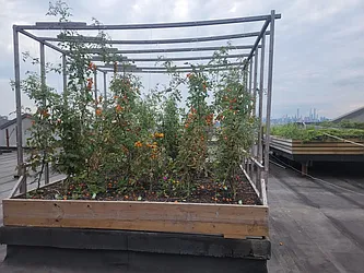 Sold by 718 Realty Inc