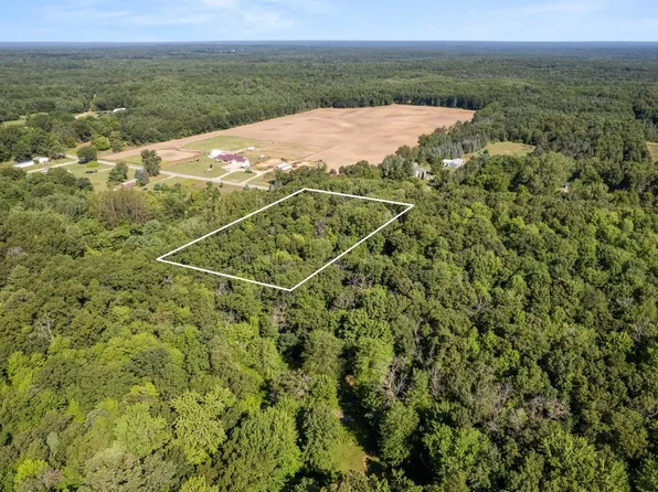 Vl Par 1 98th St, Howard City, MI 49329