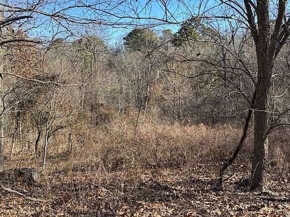 4th image of 16 Burwell Dr