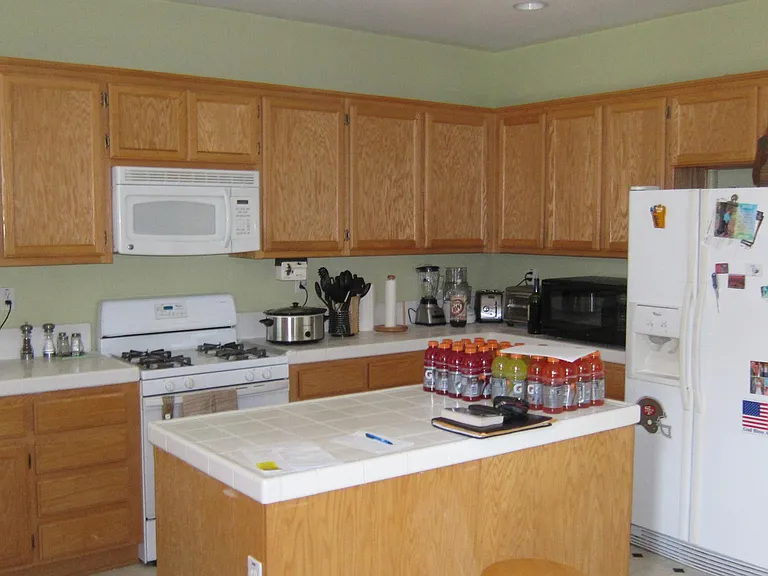 9832 Tundra Swan Cir — Photo 5