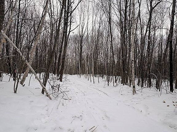 4th image of 5 Log Lodge Rd