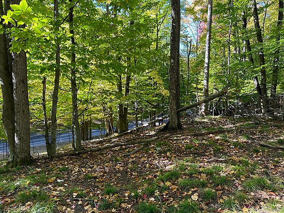 3rd image of 115 Doepath Pl