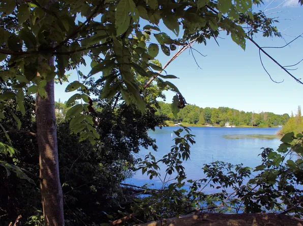 0 Cedar St, Central Lake, MI 49622