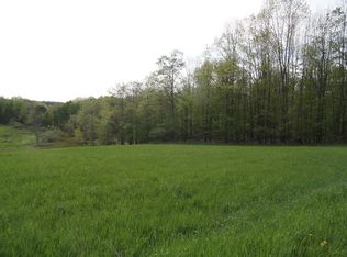 0 Tucker Road Thurston LOT 4, Campbell, NY 14821