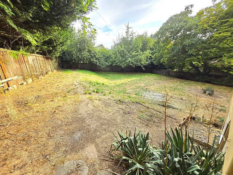 Large and fully fenced backyard