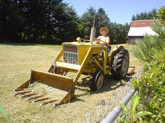Haying south western field