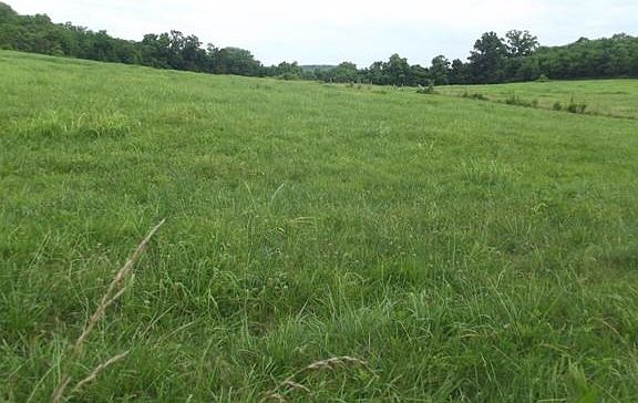 2nd image of 0 Eastes Hollow Ln