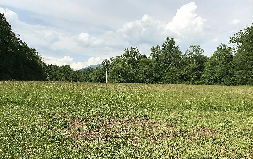 2nd image of 3797 Fodder Creek Rd