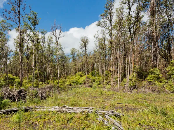 Pikake St Lot 8025, Mountain View, HI 96771