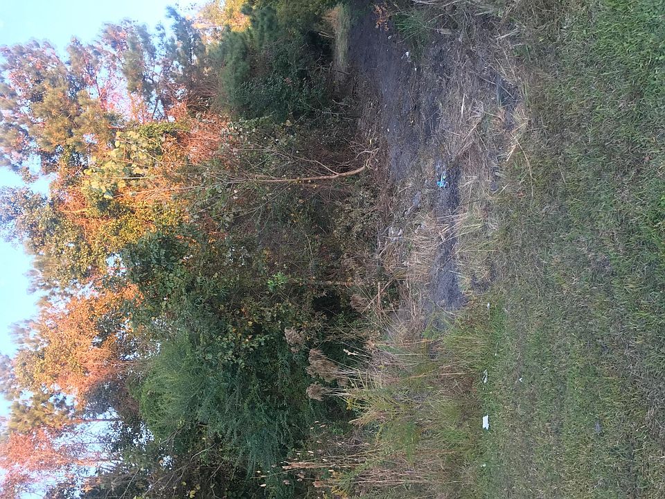 2nd image of 344 Maplewood Rd