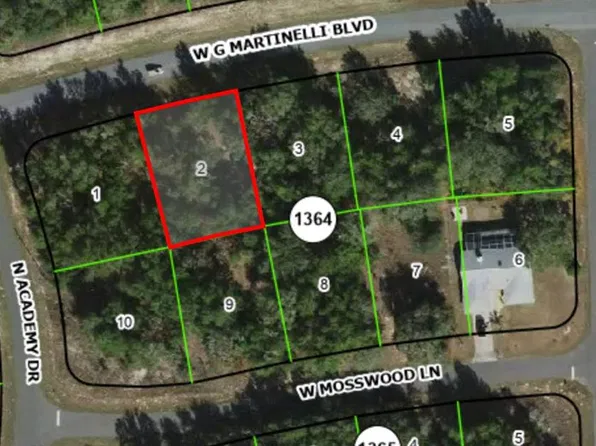 1424 W G MARTINELLI BOULEVARD LOT 2, CITRUS SPRINGS, FL 34434