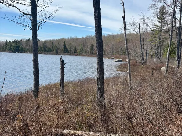 Map8Lot30 Off Walker Heights, Orland, ME 04472