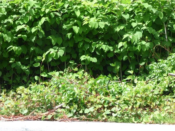 116 Warwick Turnpike, Warwick, NY 10990