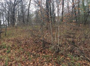 28383 99 1/2 St NW, Zimmerman, MN 55398