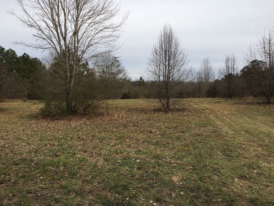 2nd image of 61 Cindy Rd