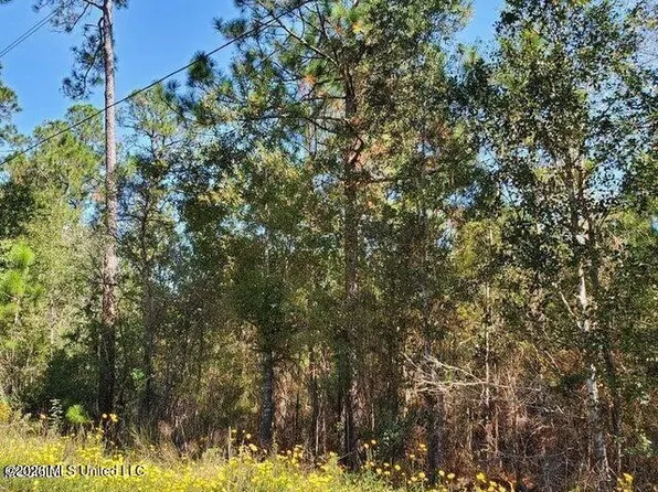 Lots 2 3 Tigris St Lot 2-3, Bay Saint Louis, MS 39520