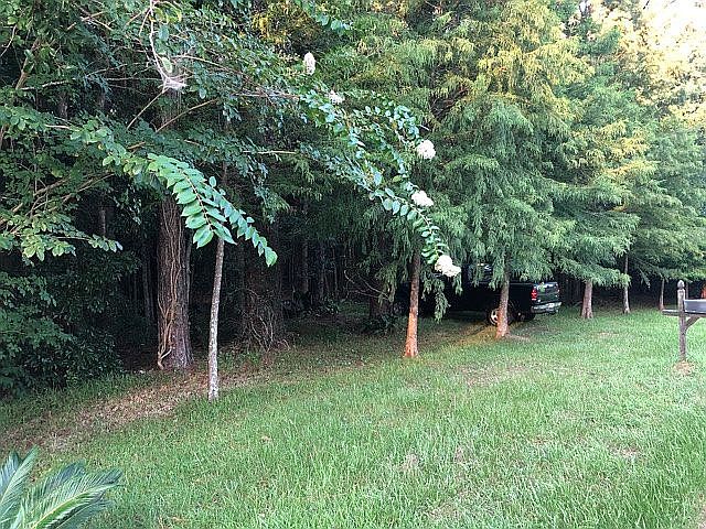 6-acre lot County Rd 1