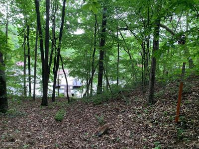 9 Toto Creek Dr W, Dawsonville, GA, 30534