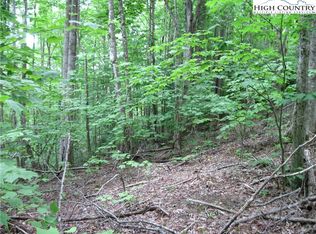 120 SASSAFRASS RD, Beech Mountain, NC 28604