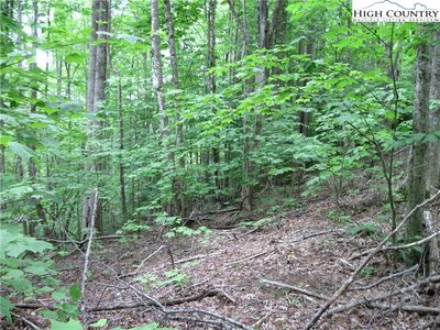 120 SASSAFRASS RD, Banner Elk, NC, 28604