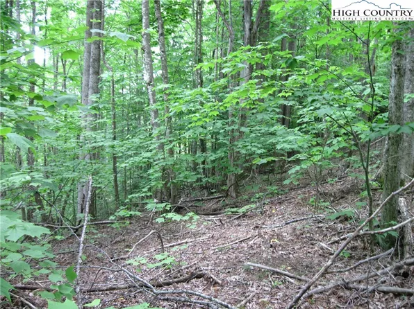 120 SASSAFRASS RD, Beech Mountain, NC 28604