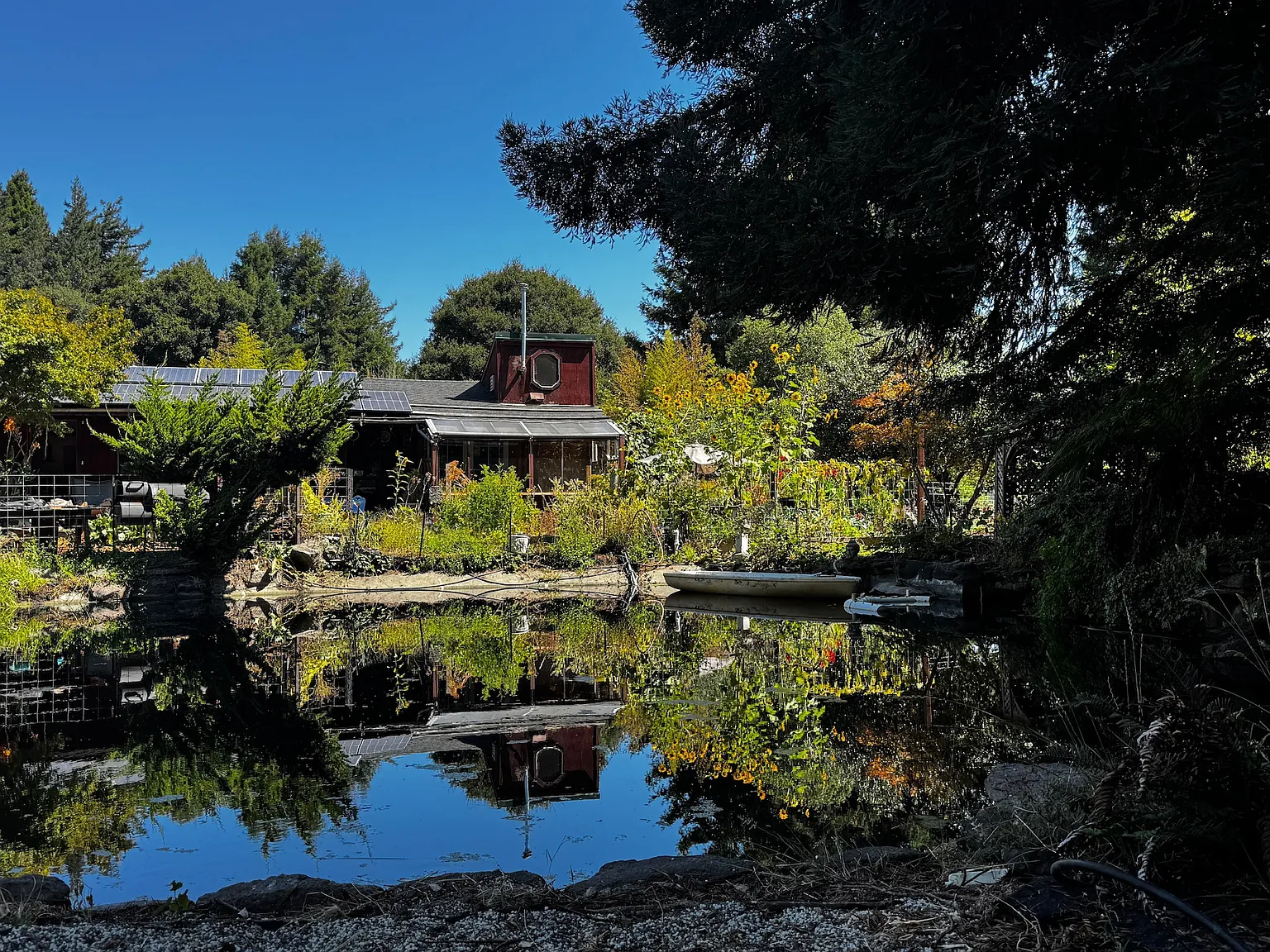 Darby Rd, Sebastopol — Photo 4