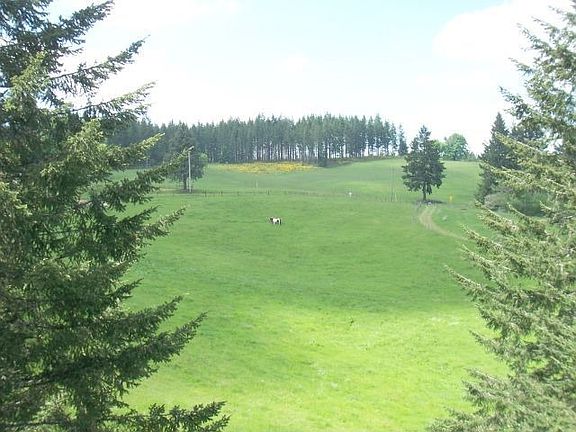 over 79 acres of mixed use property