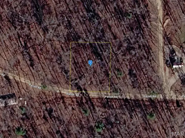 111 Parish Rd, Williamsville, MO 63967