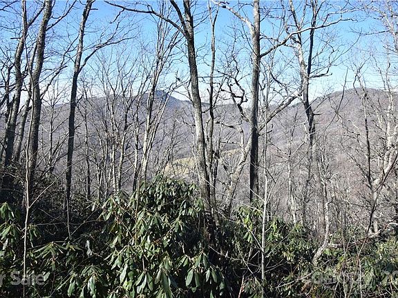 3rd image of 19 Woody Ln