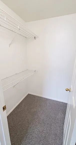 Parkwood Pointe Apartments — Photo 48