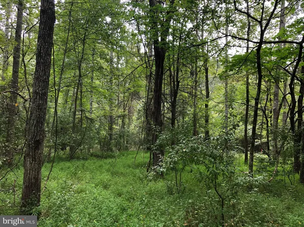 0 Mason Dixon Rd, Strasburg, VA 22657