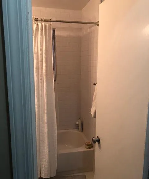 703 Barnwell St #B — Photo 5