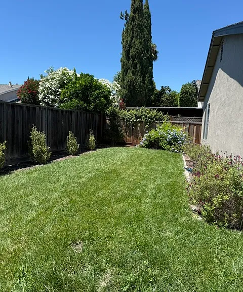 Back yard with automatic sprinklers.