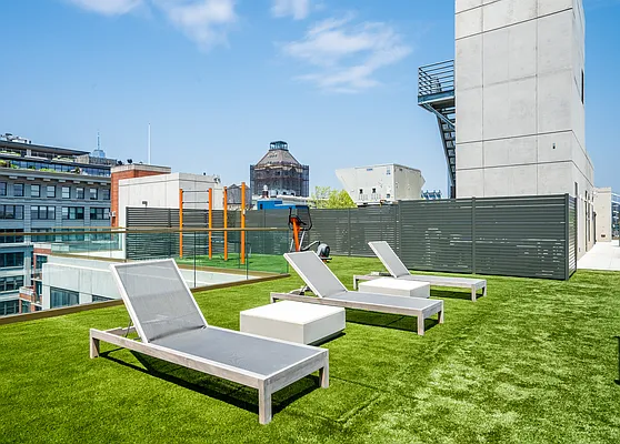 Rented by Triumph Property Group | media 45