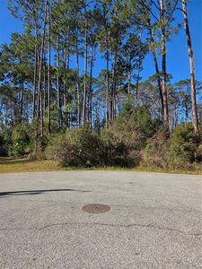 6 Uturn Ct #2, Palm Coast, FL, 32164