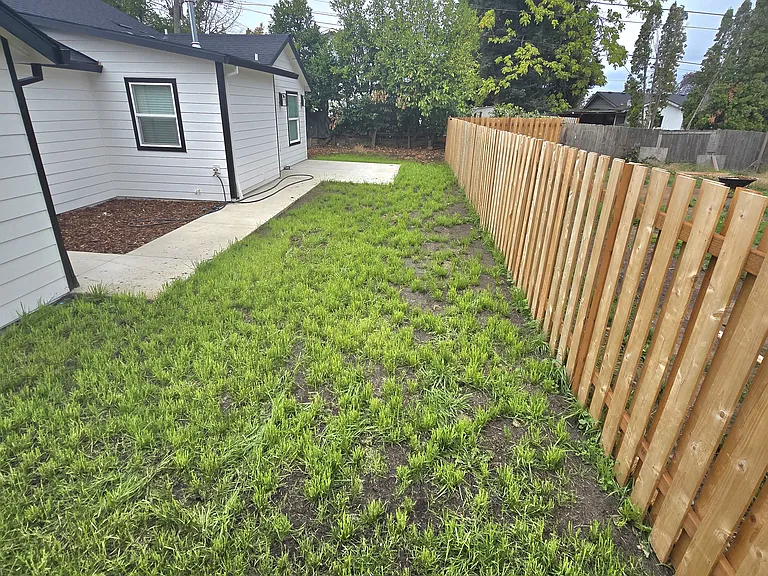 Back yard