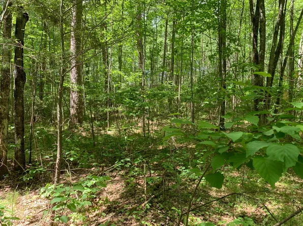 48 White Tailed Deer Dr, Tomahawk, WI 54487