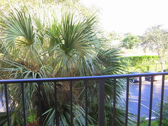 5th image of 15461 Pembridge Dr APT 313