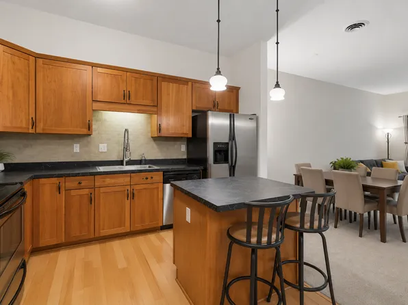 270 4th St E Unit 203, Saint Paul, MN 55101