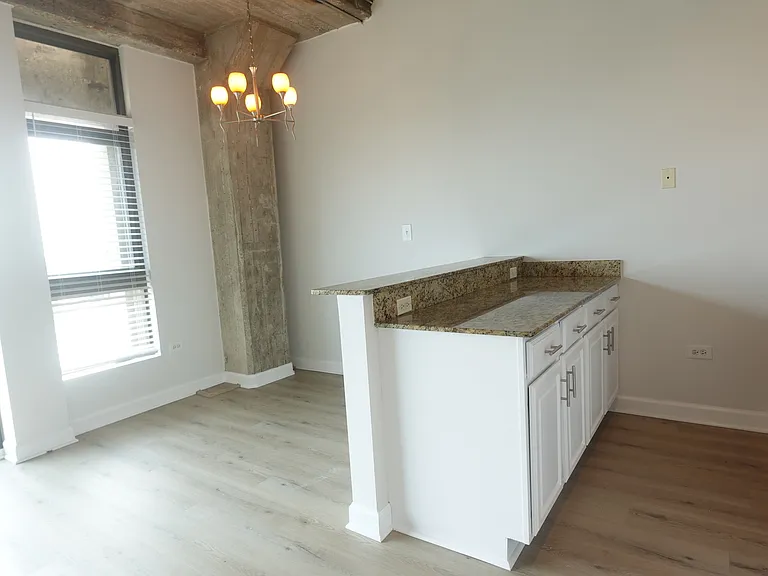 1550 S Blue Island Ave #1022 — Photo 13
