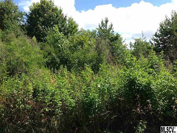3rd image of LOT 39 Evergreen Dr