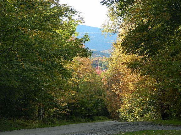 Mountain view from the driveway