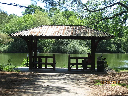 Rented by Space Real Estate | media 15