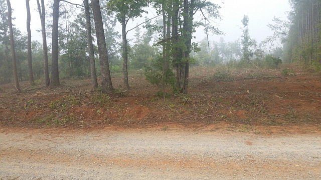 1st image of A3 Breezewood