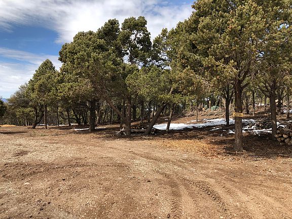 2nd image of 697 E Cedar Highlands Dr