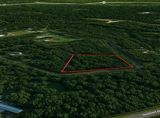9102 Blue Lake Dr, Plantersville, TX 77363